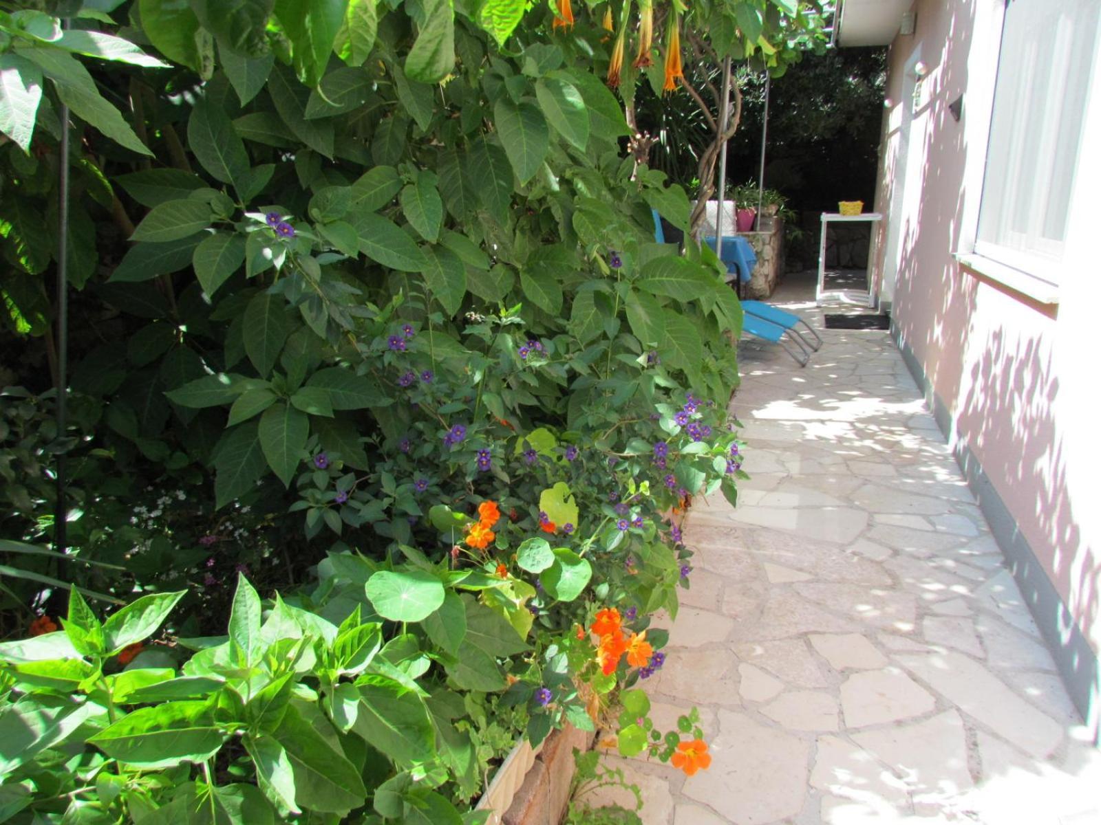 Apartments Bura & Jugo, Cres, Without Stress Exterior photo